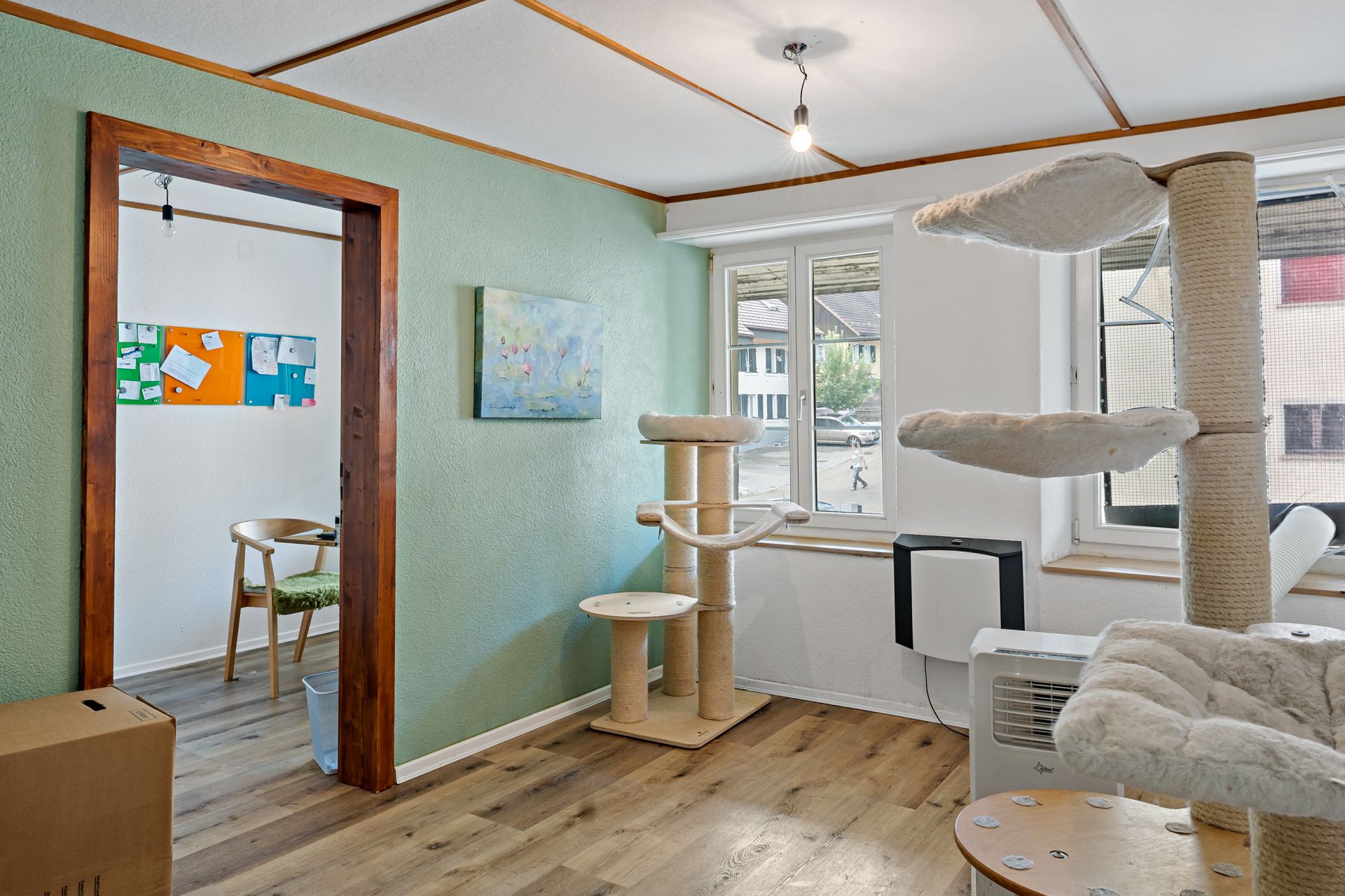 Aussergewöhnliches Haus mit viel Potential in 5323 Rietheim – Bild 3